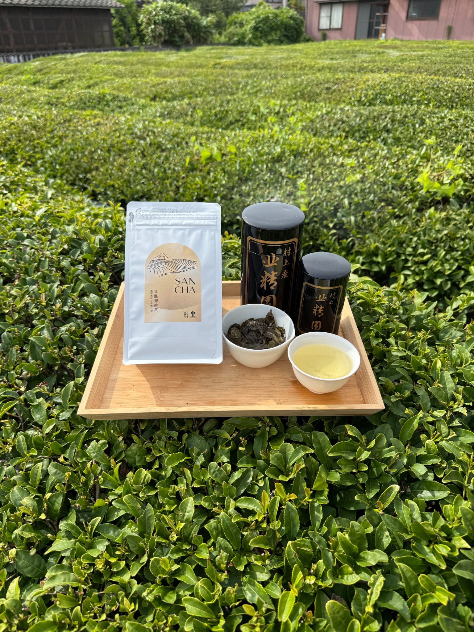 茶園に並べた北精園茶舗のお茶
